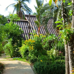 Отель The Krabi Forest Homestay 2* Стандартный номер с различными типами кроватей фото 11
