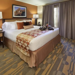 Отель Holiday Inn Club Vacations: Las Vegas at Desert Club Resort 3* Стандартный номер с двуспальной кроватью фото 3