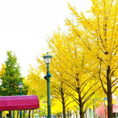 Hotel Nikko Osaka фото 12