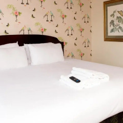 YHA Brighton - Hostel Стандартный номер фото 2