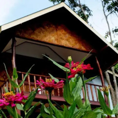 Отель Phi Phi Dusit Bungalow фото 4