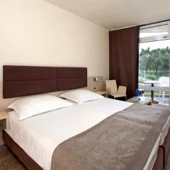 Hotel Laguna Mediteran 3* Стандартный номер с двуспальной кроватью фото 14