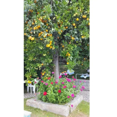 Отель Quinta da Varzea de Cima Марку-ди-Канавезиш фото 7
