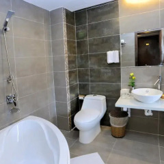 Hanoi Golden Hotel 4* Номер Делюкс фото 7