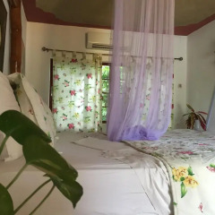 Отель San San Tropez 3* Стандартный номер с различными типами кроватей