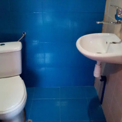 Отель Guest House Eltimir Казанлак ванная