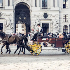 Отель Grand Ferdinand Вена спортивное сооружение