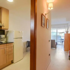 Отель Apartamentos S'abanell Central Park Испания, Бланес - отзывы, цены и фото номеров - забронировать отель Apartamentos S'abanell Central Park онлайн в номере