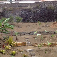 Отель Baía das Caldeirinhas Португалия, Орта - отзывы, цены и фото номеров - забронировать отель Baía das Caldeirinhas онлайн фото 2