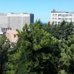 Гостиница Студио в Пансионате Светлана фото 6