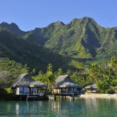 Отель InterContinental Resort and Spa Moorea 4* Бунгало с различными типами кроватей фото 8