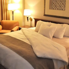 Park Plaza Hotel 3* Стандартный номер фото 4