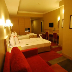 SV Business Hotel Diyarbakir 4* Люкс