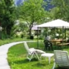 Hotel Picchio Nero Кьюзафорте фото 2