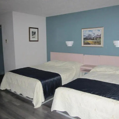 Отель Alpine Inn 2* Стандартный номер с различными типами кроватей фото 2