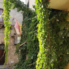 Отель La Volpe E L'Uva B&B Стандартный номер фото 28
