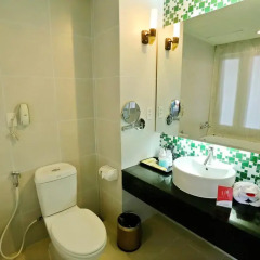 ParkView Hotel 4* Полулюкс с различными типами кроватей