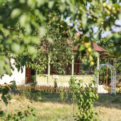 Отель Holiday Home Ruben Дзорагет фото 5
