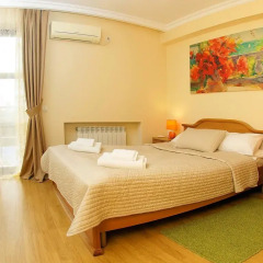 Гостиница Центральный 3* Апартаменты с двуспальной кроватью фото 5