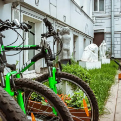 Гостиница Graffiti L Hostel в Санкт-Петербурге - забронировать гостиницу Graffiti L Hostel, цены и фото номеров Санкт-Петербург спортивное сооружение
