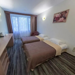 Гостиница Яхонты Ногинск 4* Стандартный семейный номер с двуспальной кроватью фото 4