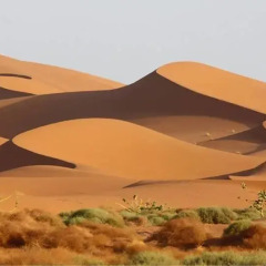 Отель Riad Mamouche Марокко, Мерзуга - отзывы, цены и фото номеров - забронировать отель Riad Mamouche онлайн пляж