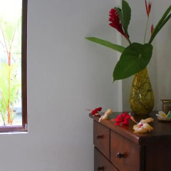 Отель French Lotus Unawatuna Guest House 3* Стандартный номер фото 7