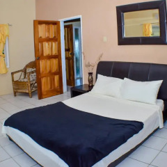 Отель Ackee Tree Sea View Villa комната для гостей