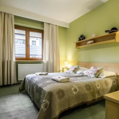 Отель Apartamenty Chata Pod Reglami Закопане комната для гостей фото 4