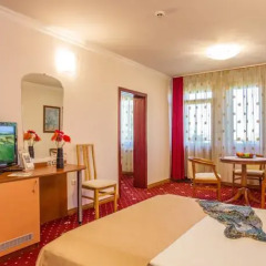 Hotel Villa Boyana удобства в номере