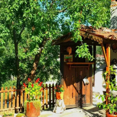 Отель Mechta Guest House