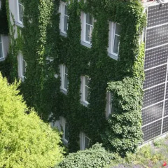 Отель Boutiquehotel Stadthalle Вена фото 8
