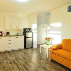 Отель Regency Inn & Suites 2* Люкс с различными типами кроватей фото 5