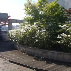 Отель Hyundai Residence Seoul Южная Корея, Сеул - отзывы, цены и фото номеров - забронировать отель Hyundai Residence Seoul онлайн фото 4