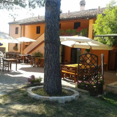 Отель Agriturismo Casale Il Gallo Bianco Озимо фото 11