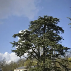 Отель Le Chateau Du Val фото 6