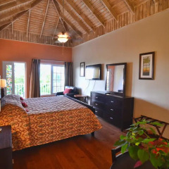 Отель Tropical Lagoon Resort 3* Номер Делюкс с различными типами кроватей фото 2