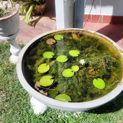Отель Suresh Home stay