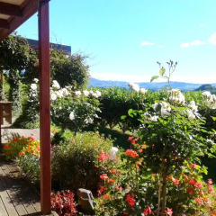 Отель Kauri Lodge балкон