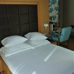 Amadi Park Hotel 4* Стандартный номер с различными типами кроватей фото 15