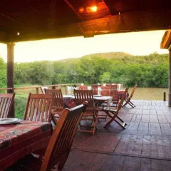 Отель Addo Elephant Back Safaris and Lodge Южная Африка, Аддо - отзывы, цены и фото номеров - забронировать отель Addo Elephant Back Safaris and Lodge онлайн питание фото 2
