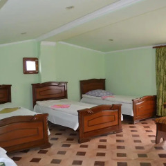 Hotel Halidzor Сисиан комната для гостей фото 2