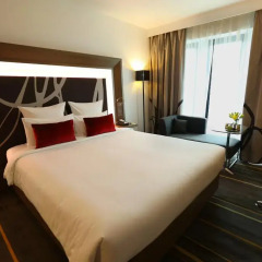 Отель Novotel New Delhi Aerocity 4* Стандартный номер фото 4