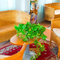Hotel Losanna удобства в номере