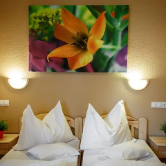 Karin Hotel комната для гостей фото 5