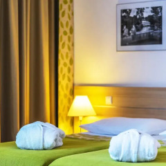 Iris Hotel Eden 4* Стандартный номер фото 24