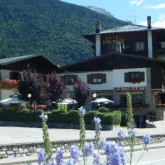 Hotel Edelweiss Форни-ди-Сопра фото 5