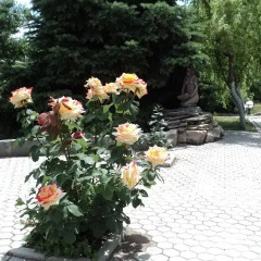 Гостиница Relax Приморск фото 19