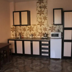 Olga Mini-Hotel удобства в номере