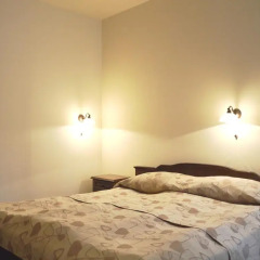 Spa & Apartment Hotel Mountain Romance 3* Студия с различными типами кроватей фото 3